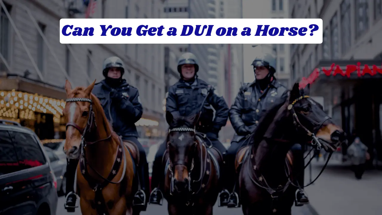 Can You Get a DUI on a Horse? Legal Risks and Practical Implications