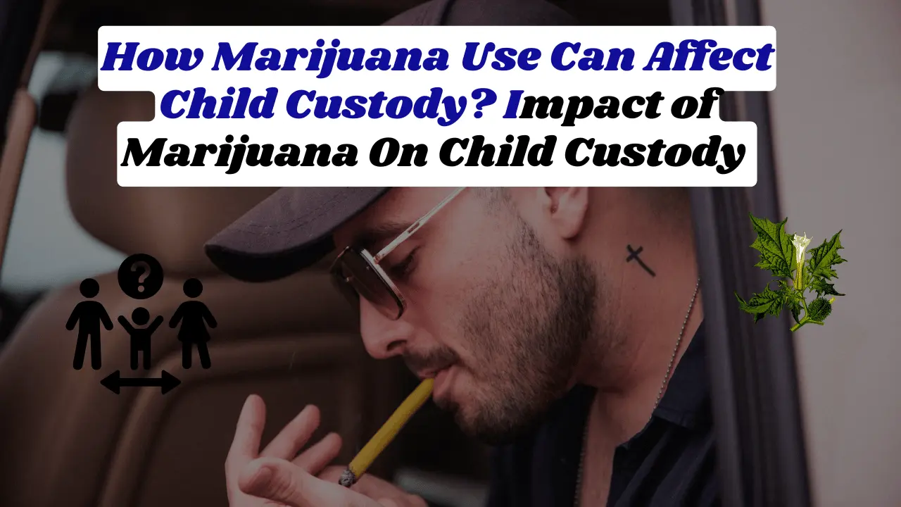 How Marijuana Use Can Affect Child Custody? Impact of Marijuana On Child Custody