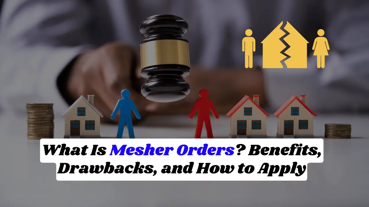 What Is Mesher Orders? Benefits, Drawbacks, and How to Apply