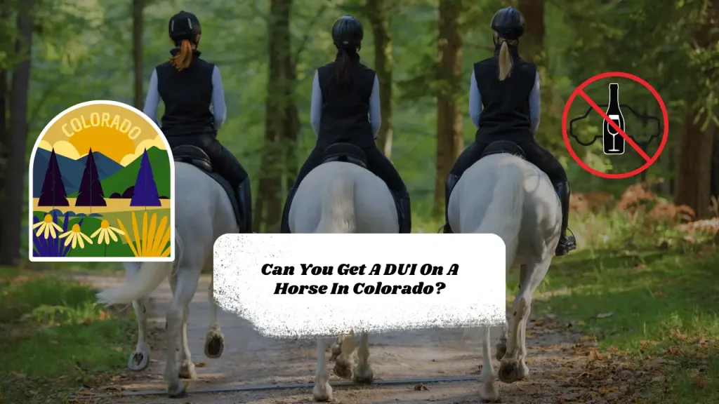 Can You Get A DUI On A Horse In Colorado?