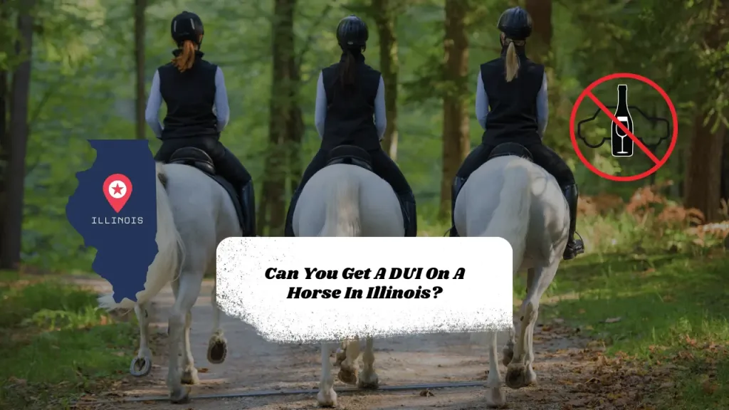 Can You Get A DUI On A Horse In Illinois?