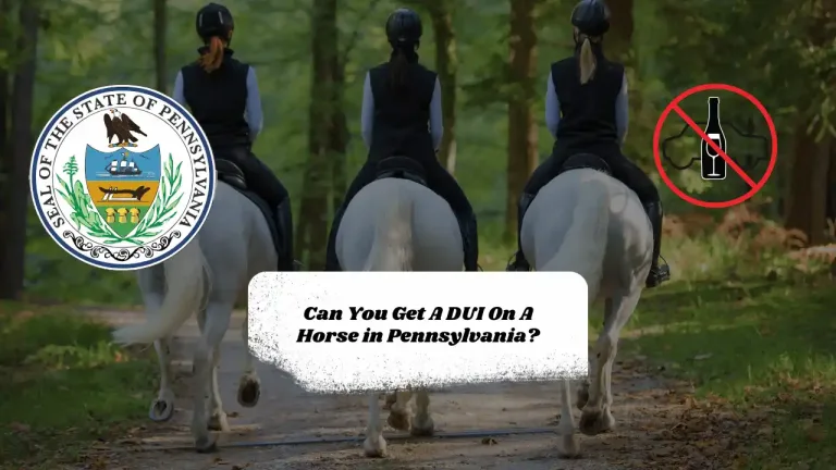 Can You Get A DUI On A Horse in Pennsylvania?