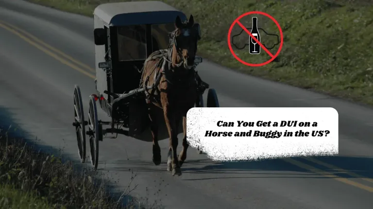 Can You Get a DUI on a Horse and Buggy in the US?