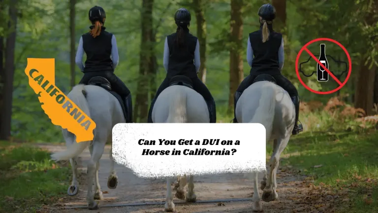 Can You Get a DUI on a Horse in California?