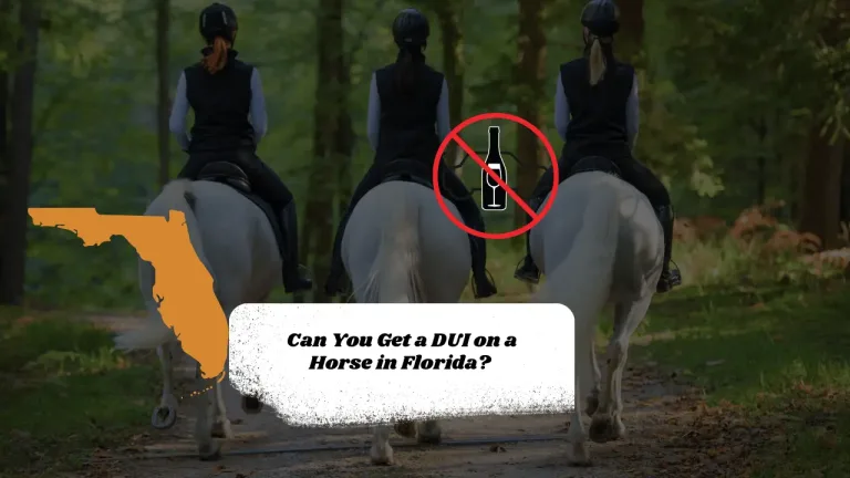 Can You Get a DUI on a Horse in Florida? 