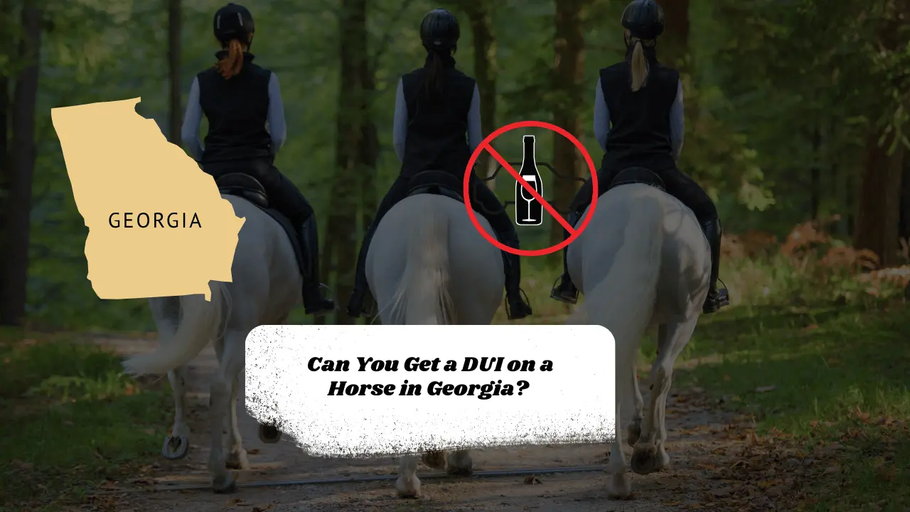 Can You Get a DUI on a Horse in Georgia? Exploring the Law