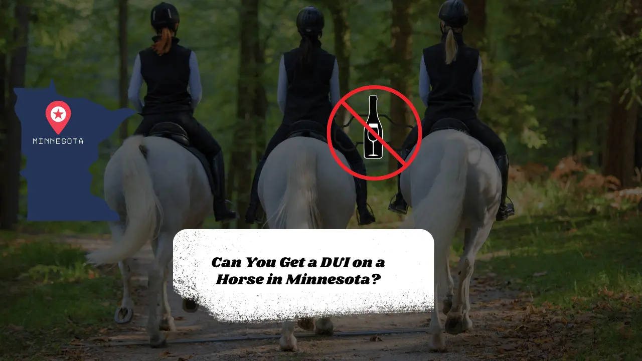 Can You Get a DUI on a Horse in Minnesota?