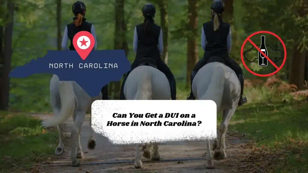 Can You Get a DUI on a Horse in North Carolina?