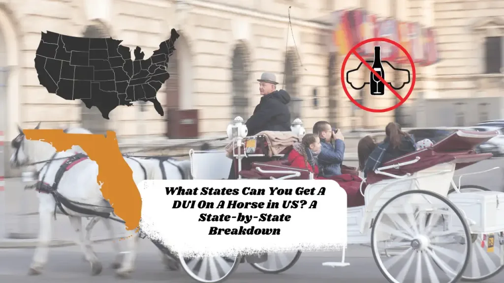 What States Can You Get A DUI On A Horse in US? A State-by-State Breakdown